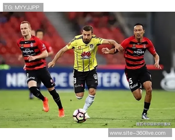 惠灵顿凤凰主场迎战新城堡联力争三分展现球队实力与决心